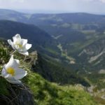 Alpské scenérií v Krkonoších