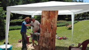 IMG_20160607_110132[1]_1680x943