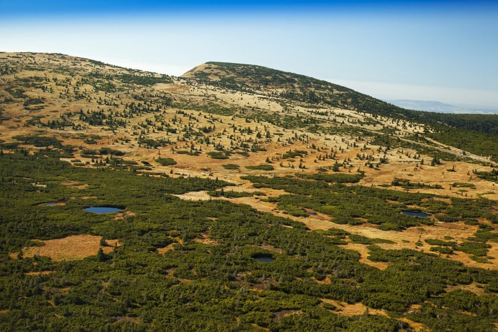 Pančavské rašeliniště